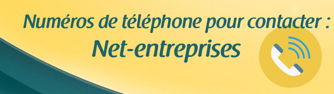 Telephone Net Entreprises